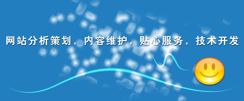 网站分析策划，内容维护，贴心服务，技术开发