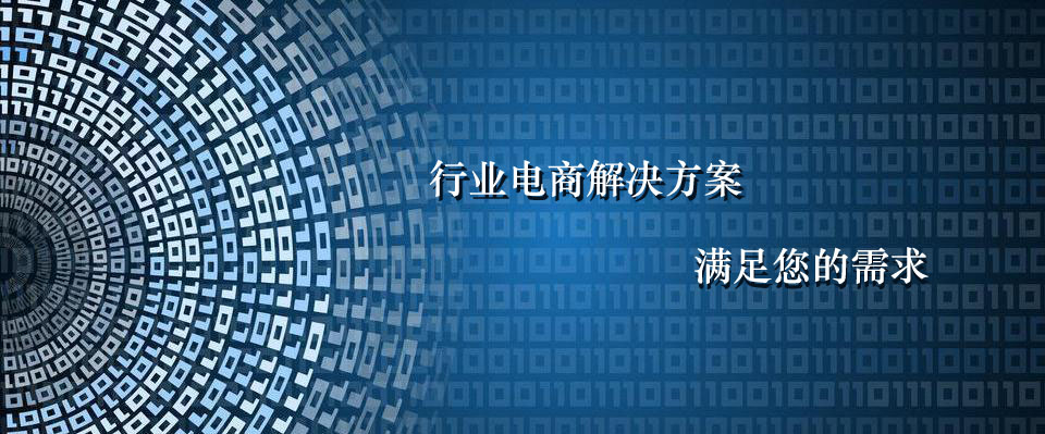 行业电商解决方案，打造新一代电子商务平台